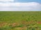 Grass covered salt marsh tidal landscape in the ribble valley near southport merseyside with white clouds in a blue sky