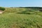 Grass-covered sand dunes