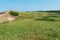 Grass-covered sand dunes