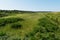 Grass-covered sand dunes