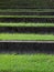 Grass covered stairs