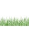 Grass detailed silhouettes on white. Herbs garden. For web,