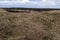 Grass dune and sommerhouses