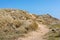 Grass and Dunes