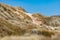 Grass and Dunes