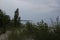 Grass and dunes at Ipperwash Beach, Ontario