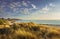 Grass on the dunes, Vada white sand beach . Rosignano, Tuscany, Italy