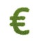 Grass Euro sign