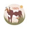 Grass fed beef abstract concept vector illustration.