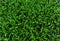 Grass field background