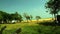 Grass Field Near Chennai Marina Beach