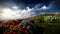 Grass field with rolling hills and wildflowers in Ireland