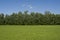 Grass field and trees Landscape outside the city