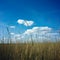 Grass field under blue sky creates idyllic natural backdrop