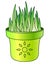 Grass in a flower pot. Young, juicy, green grass sprouted in a green flower pot with a picture of the sun. Young sprouts, germinat