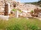 Grass flower at the ruins of Ephesus, Turkey