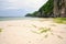 Grass and flowers on the beach with white sand and rocky limestone cliff