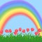 Grass,flowers and rainbow