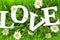 Grass with flowers and white text Love