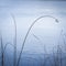 Grass by frozen Loch Mallachie in Scottish Highlands.