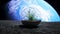 Grass in glass sphere in outer space. Ecology concept. 3d rendering.