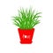 Grass Growing in red flower pot Icon Isolated Love White background Flat design