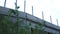 Grass grows against traffic bridge of concrete blocks