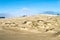 Grass grows in the windswept dunes near Lakeside, Oregon, USA