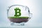 Grass growth Bitcoin currency investment concept