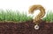 Grass Grub Questions