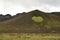 Grass heart near Kleifarvatn lake in Reykjanes, Iceland