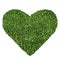 Grass Heart Shape