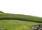 Grass hill isolate white background with cliping path and alpha channel