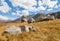 Grass hills at Castle Hills rock formation in New Zealand