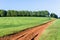 Grass Hillside Trees Dirt Road Summer Landscape