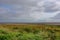 Grass, horizon and cloudy sky