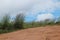 Grass on Idukki mountain filed