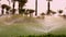 grass irrigation. Lawn irrigation system. lawn sprinkler. irrigation system. water sprinklers are working, watering lawn