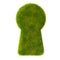 Grass keyhole icon