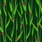 Grass ladybird seamless background