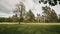 Grass lawn in old, moody and shabby park with ancient trees, mysterious cloudy spring day, free space travel concept