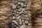 Grass Lined Rocky Trail, Appalachian Trail Close Up Detail