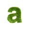 Grass lower-case letter