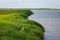 Grass Marsh on the coast of Georgia