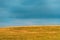 Grass meadow with dark overcast sky in background