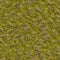 Grass with Moss. Seamless Texture.