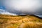 Grass mountain, Mount Robert, Nelsonlake National Park, Track, Trecking in a cloudy day