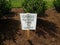 Grass needs time to grow sign in brown mulch