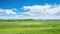 grass north kazakhstan steppe