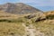 Grass path with hill, island Krk Croatia